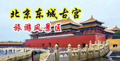 免费看男人用大鸡巴操美女的逼的视频的软件中国北京-东城古宫旅游风景区